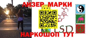 гидропоника Ставрополь