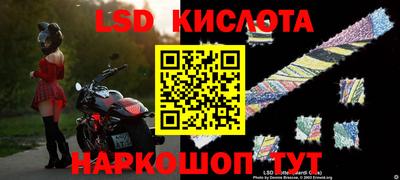 apvp Славгород