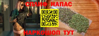 apvp Славгород