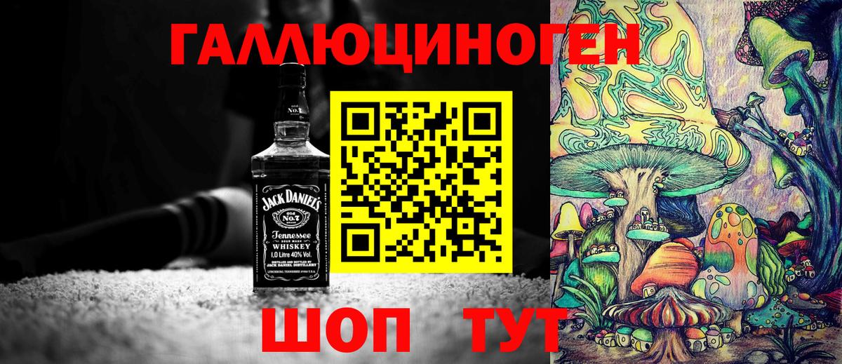 Псилоцибиновые грибы мицелий Новосибирск