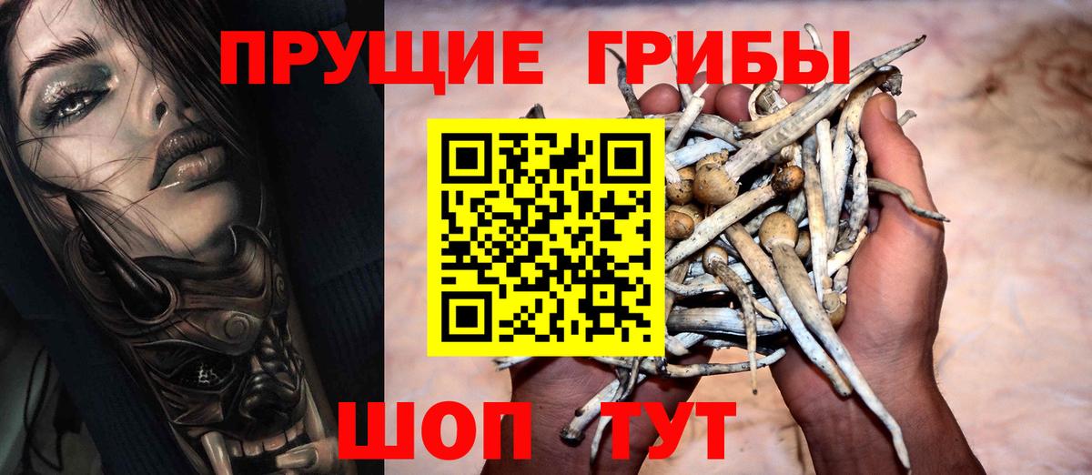 Псилоцибиновые грибы Cubensis  Вход с VPN  Галлюциногенные грибы Psilocybine cubensis  Новосибирск 