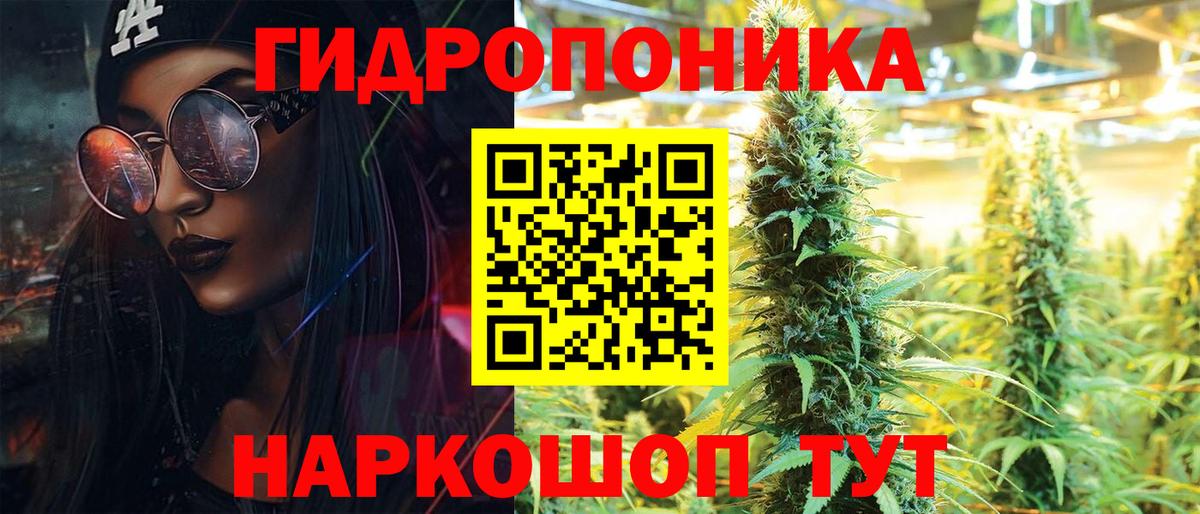 Каннабис конопля Новосибирск
